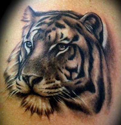 tatuagens de tigres