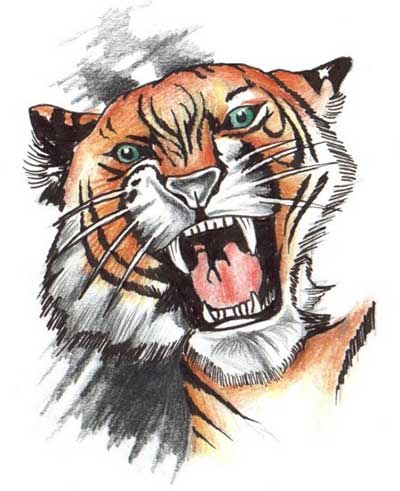 tatuagens de tigres